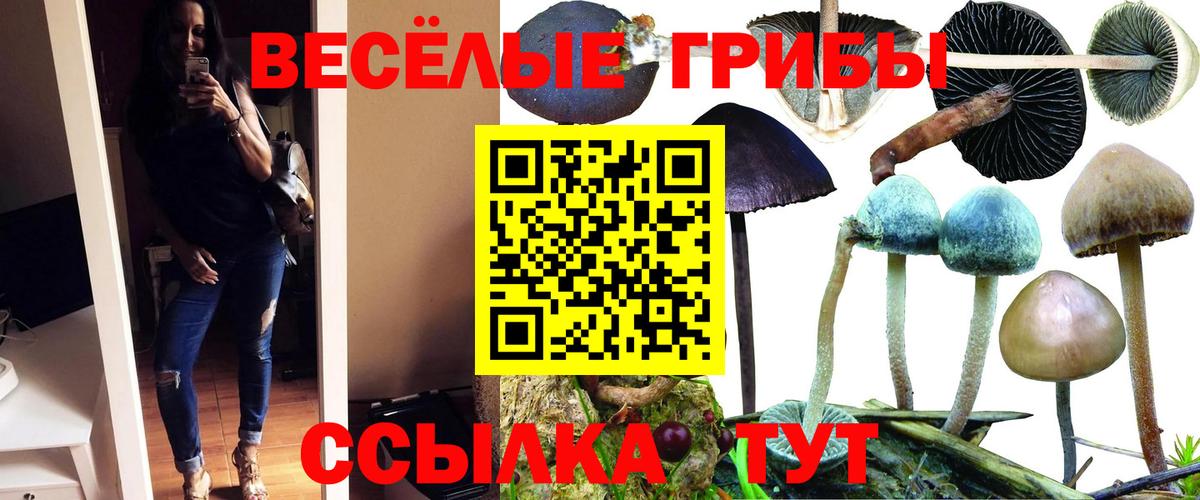 Галлюциногенные грибы Psilocybine cubensis  как найти закладки  Янаул  Вход с VPN 