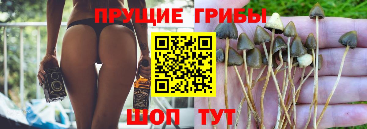 Галлюциногенные грибы GOLDEN TEACHER Янаул